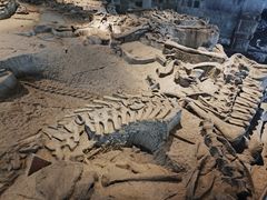 -自贡恐龙博物馆