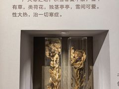 -北京中医药大学-中医药博物馆