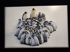 -罗红摄影艺术馆