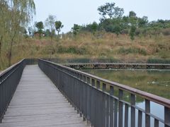 -白鹭湾湿地公园