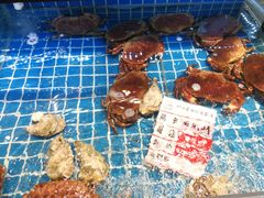 -阿娘家·原生态农家菜(国顺东路店)