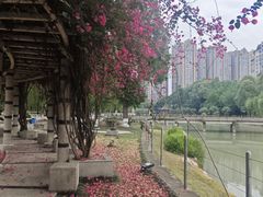 -温江公园