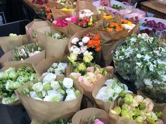 -溪岸路花鸟市场