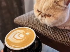 -Double cafe