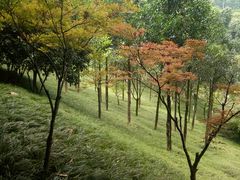 -龙头寺公园