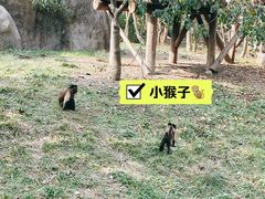 -宁波野生动物园