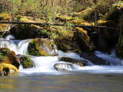 -叠溪松坪沟景区