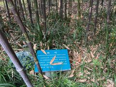 -杭州黄龙洞