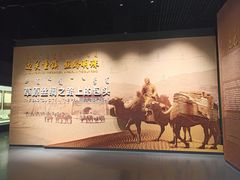 -包头博物馆