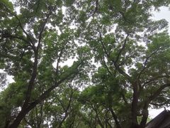 -北京国子监胡同