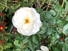 -人民公园(罗湖区)