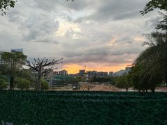 -飞来湖湿地公园