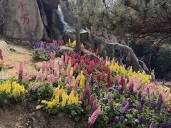 -沂蒙云瀑洞天景区