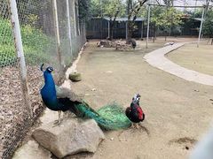 景点-西安秦岭野生动物园