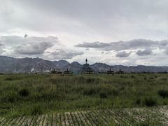 -哈素海