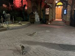 -马勒别墅·中餐厅