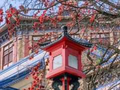 -广州中山纪念堂