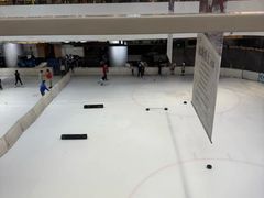 -TheRink大零溜冰场(IFS国金中心店)