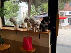 -小意思咖啡店(草桥店)
