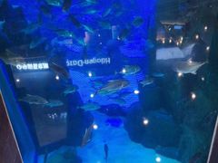 -成都浩海立方海洋公园