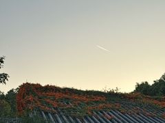 -海珠湖公园
