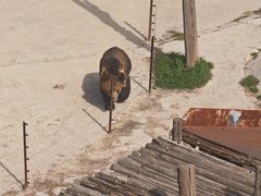 -青藏高原野生动物园