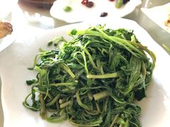 炒空心菜-君豪蟹都·湖景·农家乐(蟹舫苑店)
