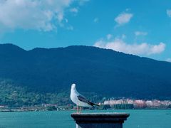 -滇池海埂公园