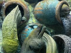 -太平洋海底世界