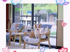 -瑞鹏宠物医院犬猫全科(真大分院)