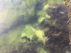 -南京金牛湖风景区