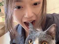 -唐小姐の私宠·宠物洗护美容·撸猫馆·购宠(周浦万达旗舰店)