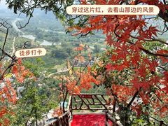 -荔江湾景区