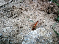 -南沙十九涌渔人码头-南门