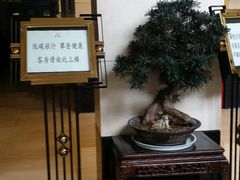 -梅山饭店-中餐厅(梅山路店)
