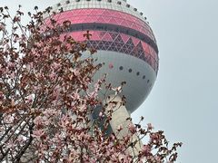 -东方明珠广播电视塔