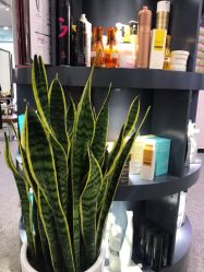 -愉己冥想·护发专门店