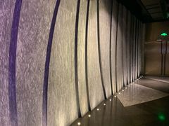 -百美汇影城(LUXE嘉里中心店)