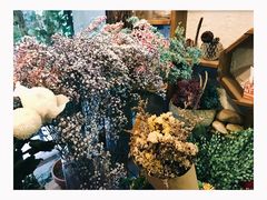 -西关84·History·Art·Cafe