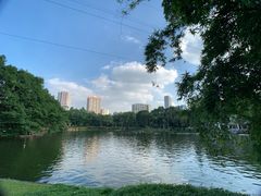 -晓港公园