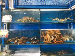 -蚝专家(北滘店)