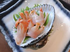 赤贝-千代武日本料理(哈西店)