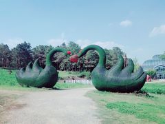 -大塘金香草谷