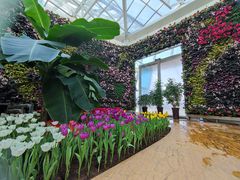 -石家庄市植物园