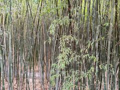 -北京植物园南门售票处