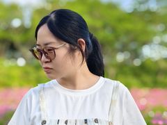 -春花秋色城市公园