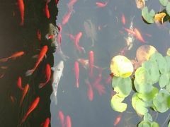 -赛百味SUBWAY(高新绿宝店)