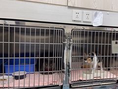 -美美宠物诊疗中心·异宠·骨科(滨江东信分院)