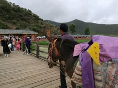 -泸沽湖国家级风景名胜区走婚桥