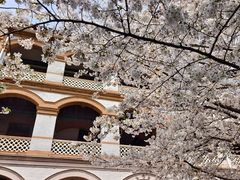 -华东政法大学(松江校区)